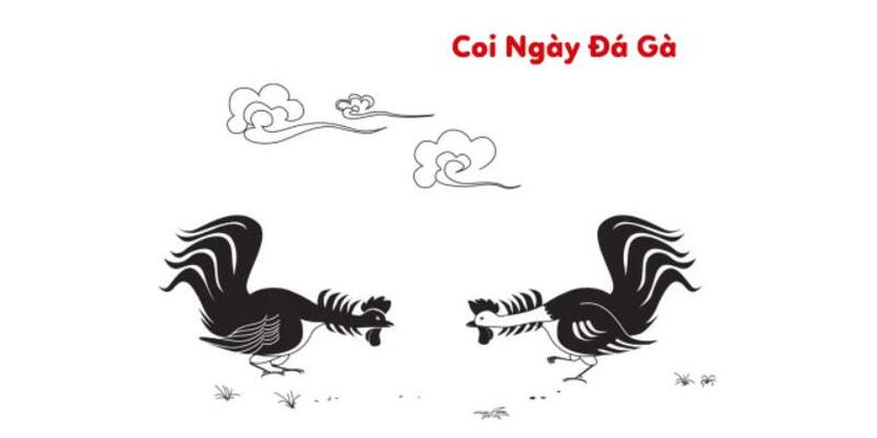 Coi ngày đá gà