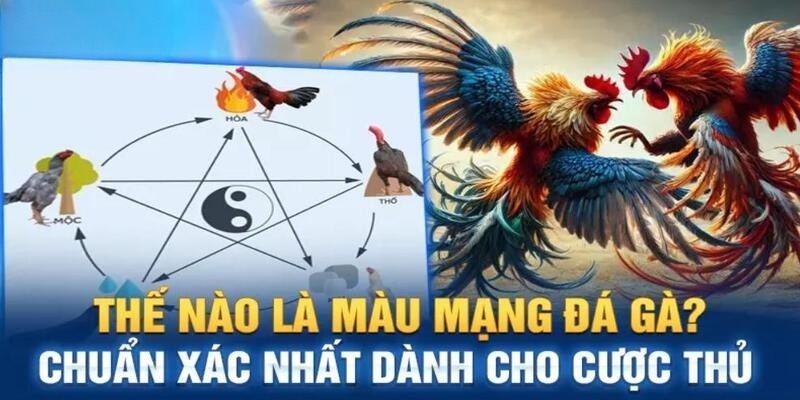 Màu mạng đá gà